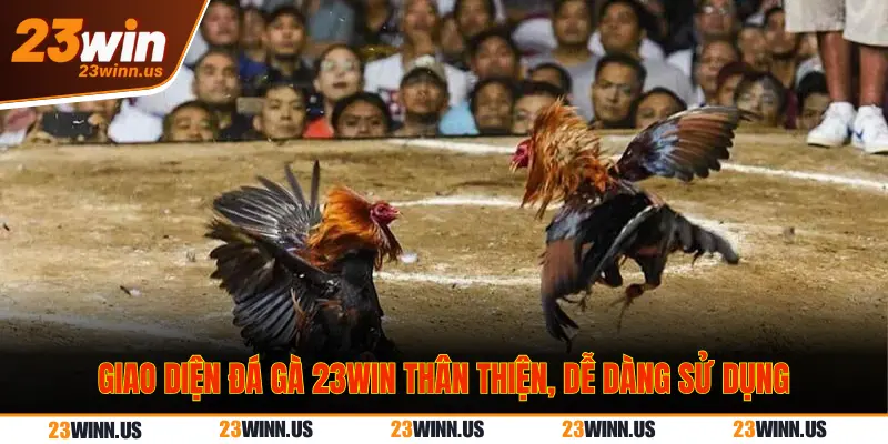 Đường truyền trực tiếp đá gà 23Win