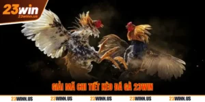 Giải mã kèo đá gà 23Win