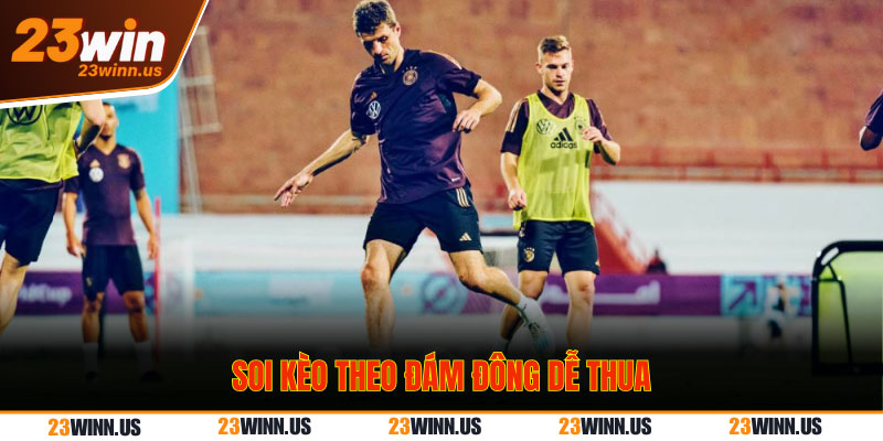 Soi kèo theo ý kiến đám đông dễ thua